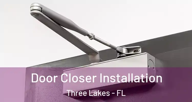  Door Closer Installation Three Lakes - FL