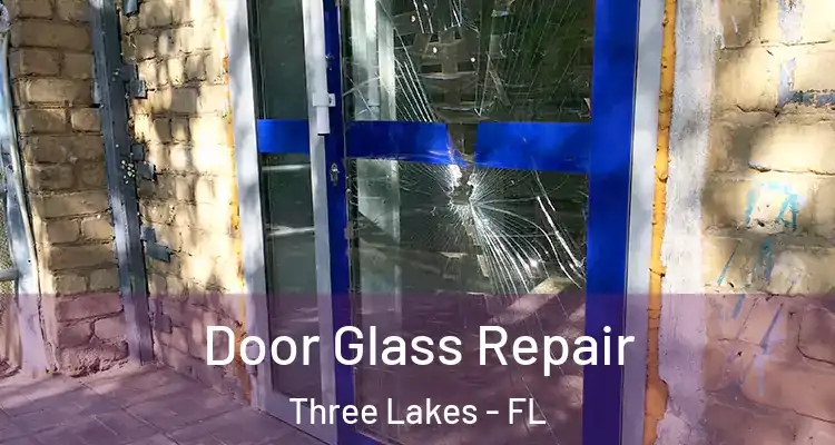  Door Glass Repair Three Lakes - FL