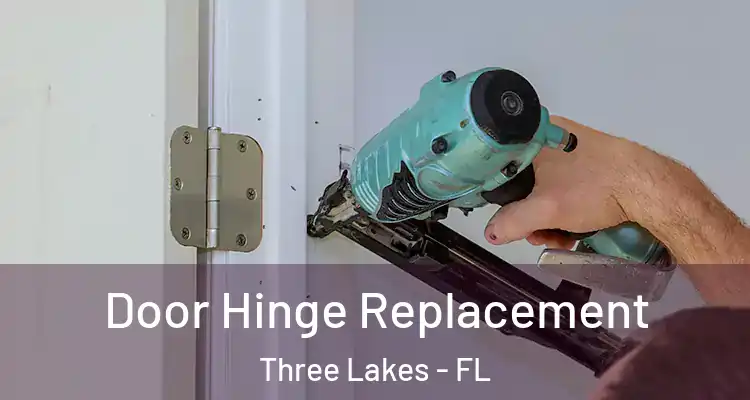  Door Hinge Replacement Three Lakes - FL