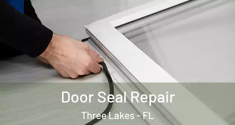  Door Seal Repair Three Lakes - FL