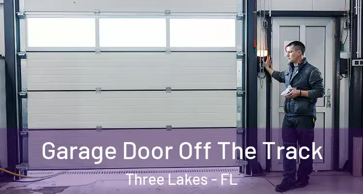  Garage Door Off The Track Three Lakes - FL