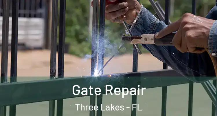  Gate Repair Three Lakes - FL